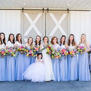 Revelry Skylar Blue Skirt